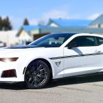 Camaro Custom Stripe