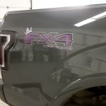 Purple Princess Fx4