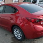 Car Tint